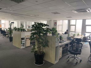 紡織印染ERP生產(chǎn)管理軟件 驅(qū)動(dòng)染廠智能升級(jí)與高效運(yùn)營的核心引擎